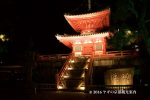 大覚寺の紅葉ライトアップ2017