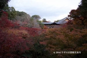 東福寺の紅葉2017