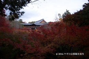 東福寺の紅葉2017