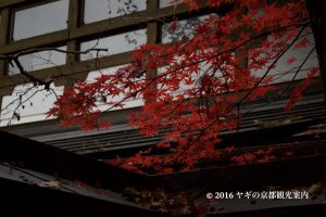 宝泉院の紅葉2017