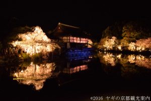 平安神宮しだれ桜コンサート2018