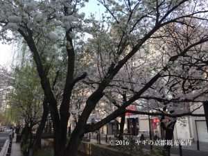 2018年３月27日高瀬川の桜