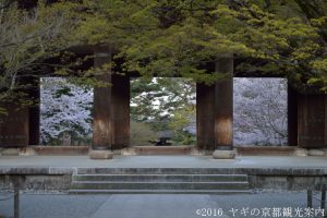 南禅寺の桜2018
