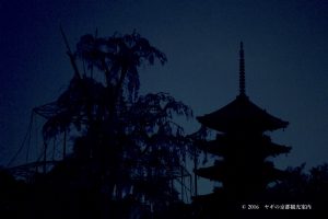 東寺の夜桜ライトアップ2018