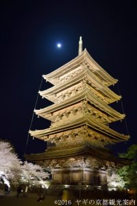 東寺の夜桜ライトアップ2018