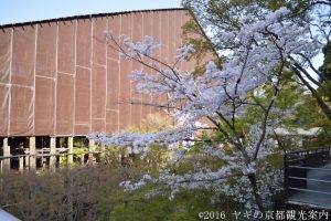 清水寺の桜2018