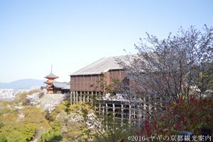 清水寺の桜2018