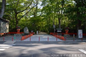 下鴨神社糺の森
