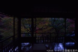 瑠璃光院の床紅葉