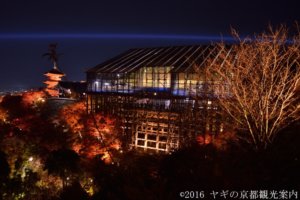 清水寺の紅葉