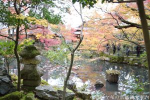 天授庵の紅葉