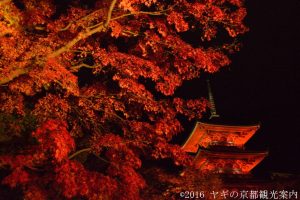 清水寺の紅葉