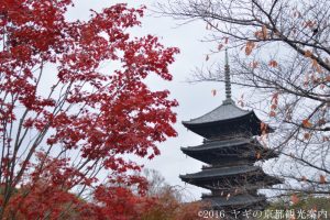 東寺の紅葉