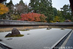 龍安寺の紅葉