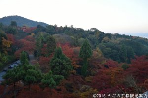 清水寺紅葉