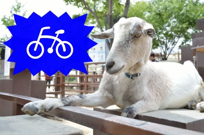 goatbike