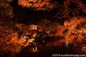 醍醐寺の紅葉ライトアップ2018