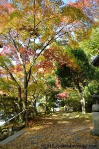今熊野観音寺の紅葉2018