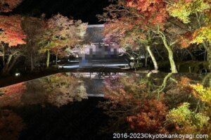 仁和寺紅葉ライトアップ