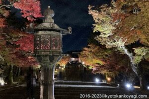 仁和寺紅葉ライトアップ