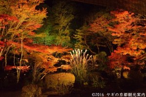 天授庵の紅葉