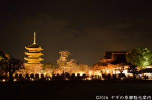 東寺の紅葉ライトアップ