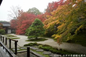 天授庵の紅葉