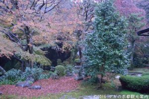 東福寺東庭