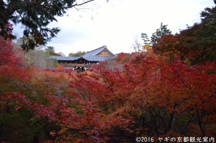 東福寺洗玉澗の紅葉