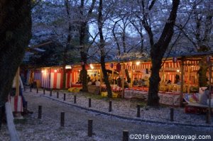 平野神社桜ライトアップ