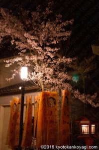 八坂神社の桜ライトアップ