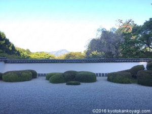 正伝寺枯山水庭園