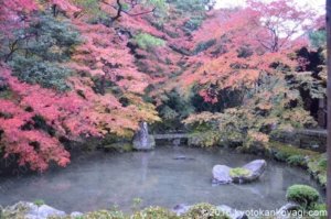 蓮華寺の庭園