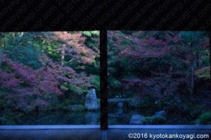 蓮華寺の庭園