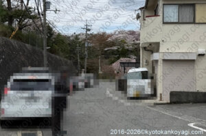 原谷苑開花情報