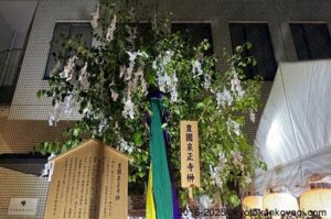 豊園泉正寺真榊2025
