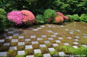 東福寺さつき