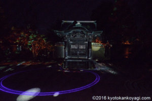 高台寺の紅葉ライトアップ