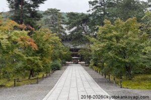 京都紅葉情報2026