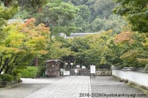 京都紅葉情報2026