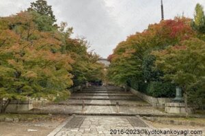 京都紅葉情報2023年11月