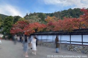 京都紅葉情報2021年