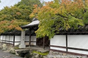 京都紅葉状況2025年10月19日