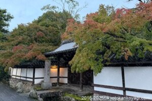 京都紅葉状況2025年10月26日