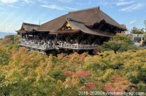 京都紅葉状況2025年11月2日
