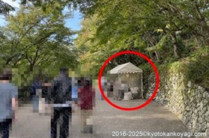 京都紅葉状況2025年11月2日