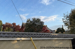 正伝永源院紅葉2025