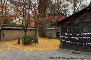 京都紅葉状況2025年12月7日