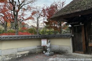 京都紅葉状況2025年12月14日
