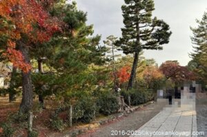 京都紅葉状況2025年12月14日
